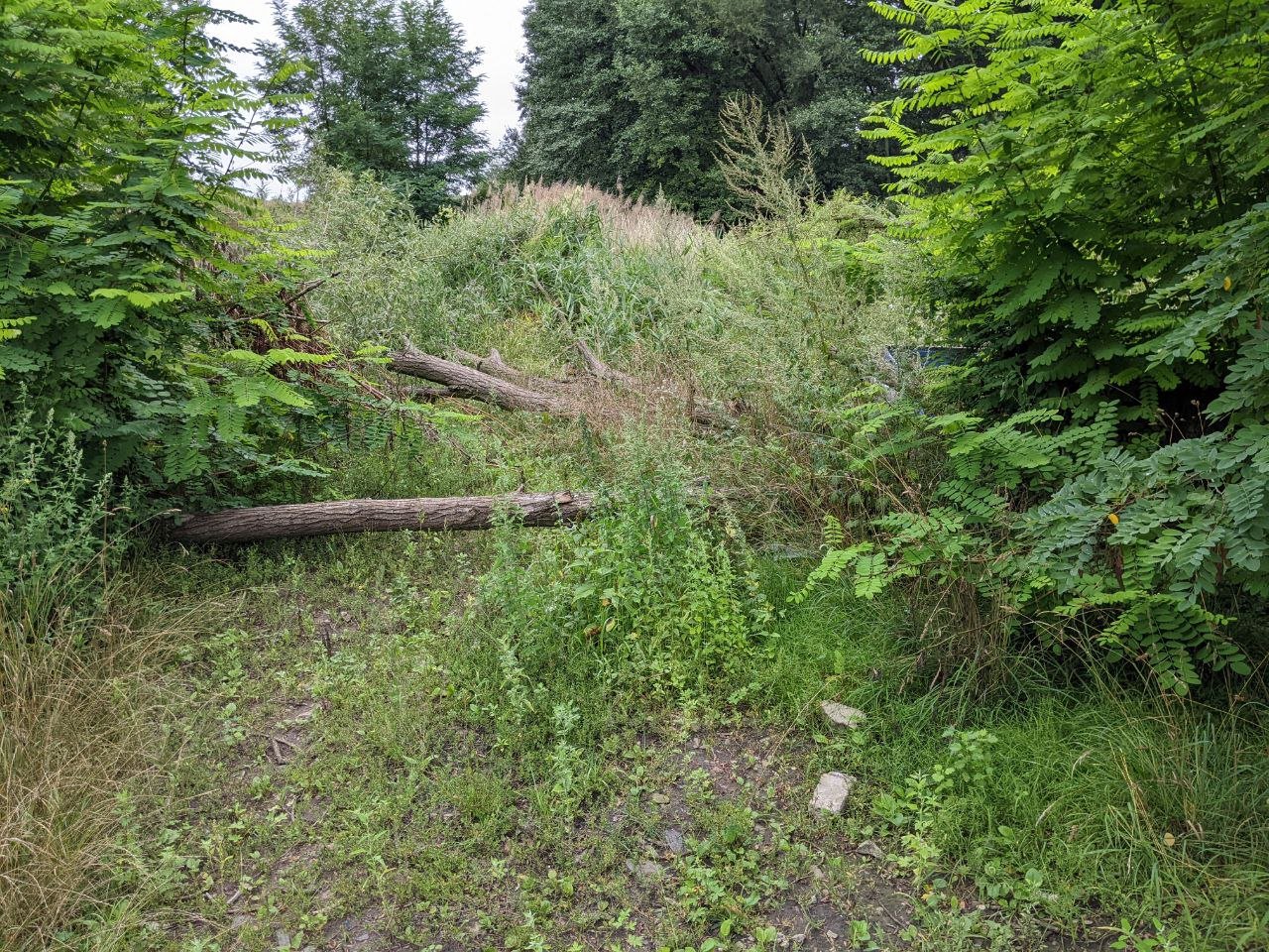 Якщо не буде опалення. Як Київ та інші міста України готуються до зими в умовах війни 5