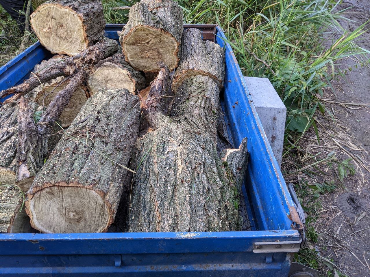 Якщо не буде опалення. Як Київ та інші міста України готуються до зими в умовах війни 6