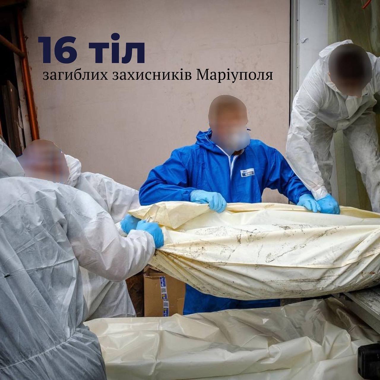 Источник: Патронатная служба «Ангелы Азова»