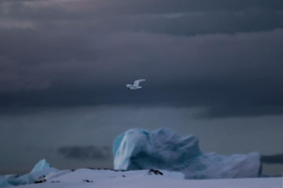 Фото: Сергей Глотов