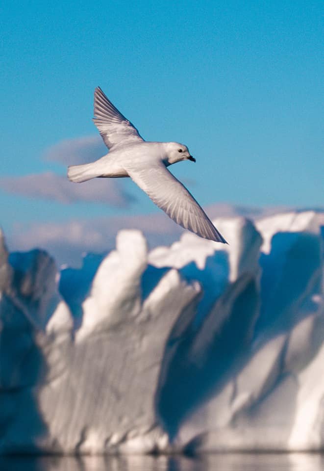 Фото: Сергей Глотов