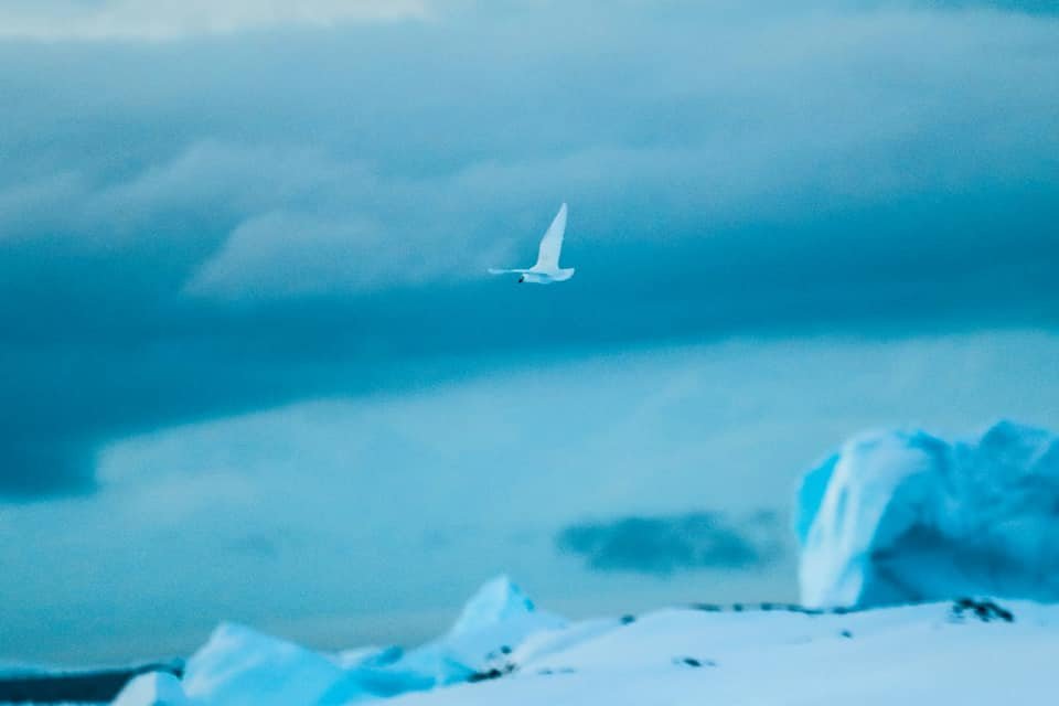 Фото: Сергей Глотов