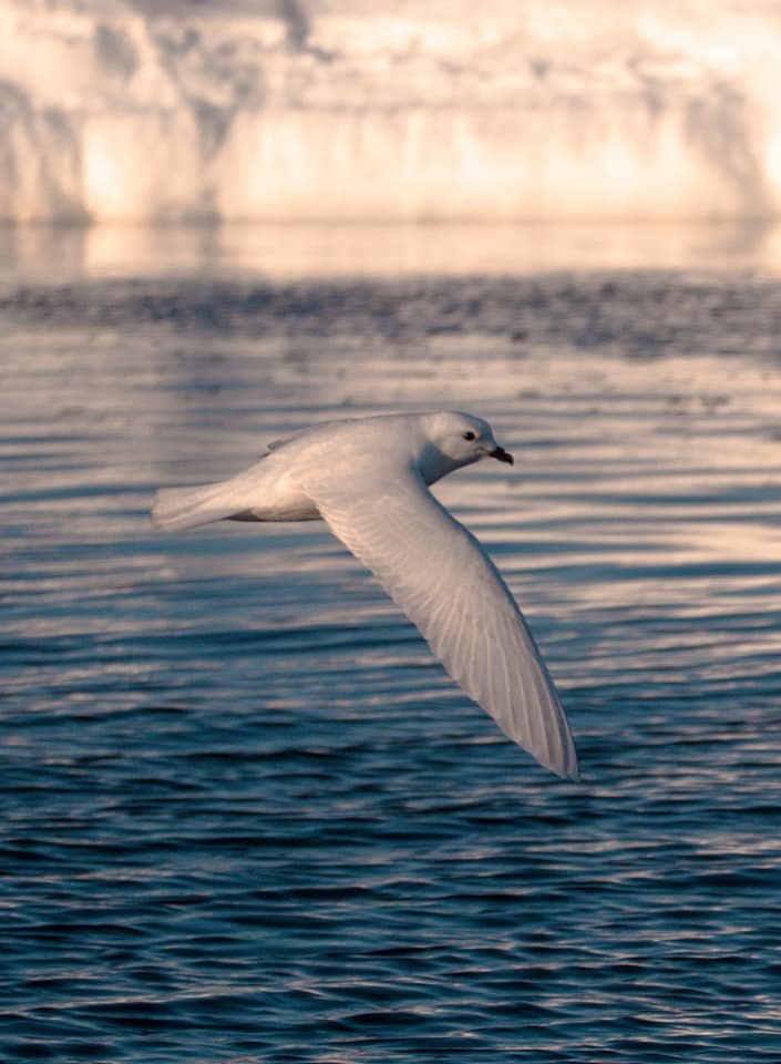 Фото: Сергей Глотов