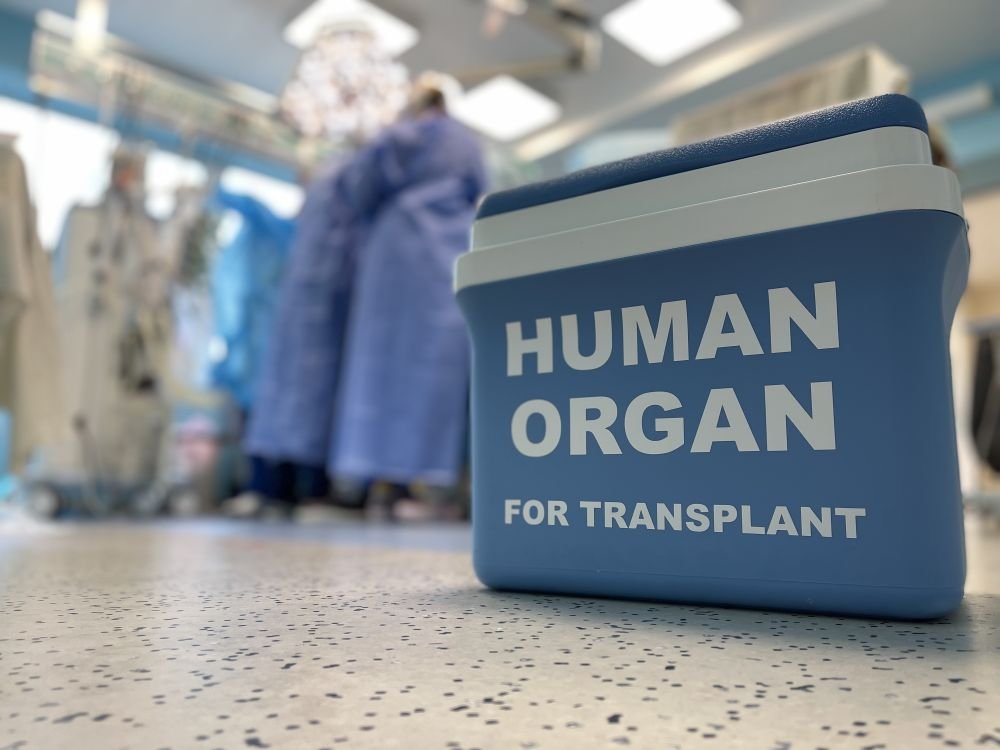 Источник: Львовский городской совет