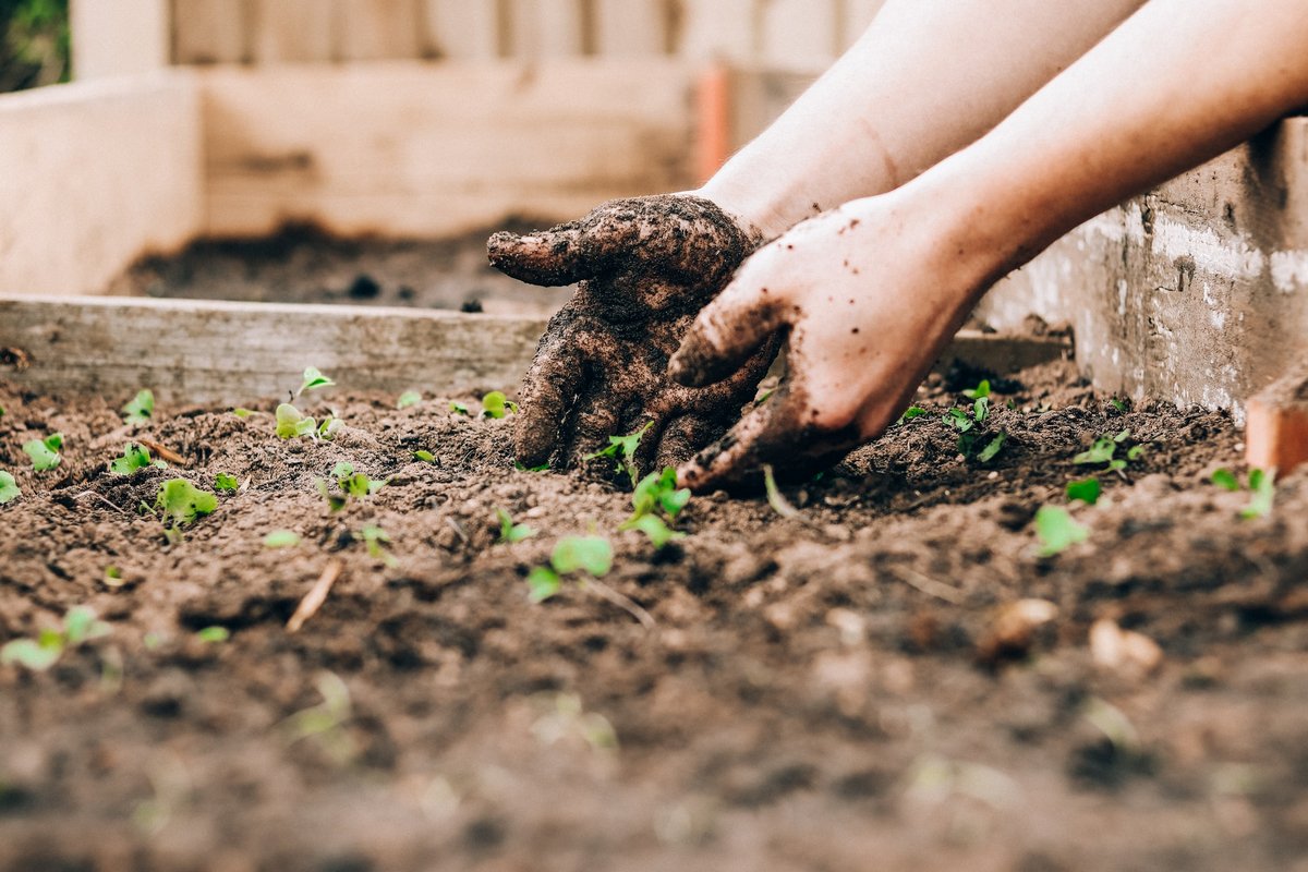 Допомога в садівництві