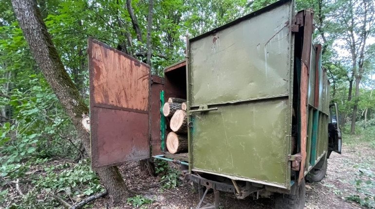 В Черватівці на Сумщині поліцейські затримали чоловіка, що незаконно рубав ліс В Черватівці на Сумщині поліцейські затримали чоловіка, що незаконно рубав ліс