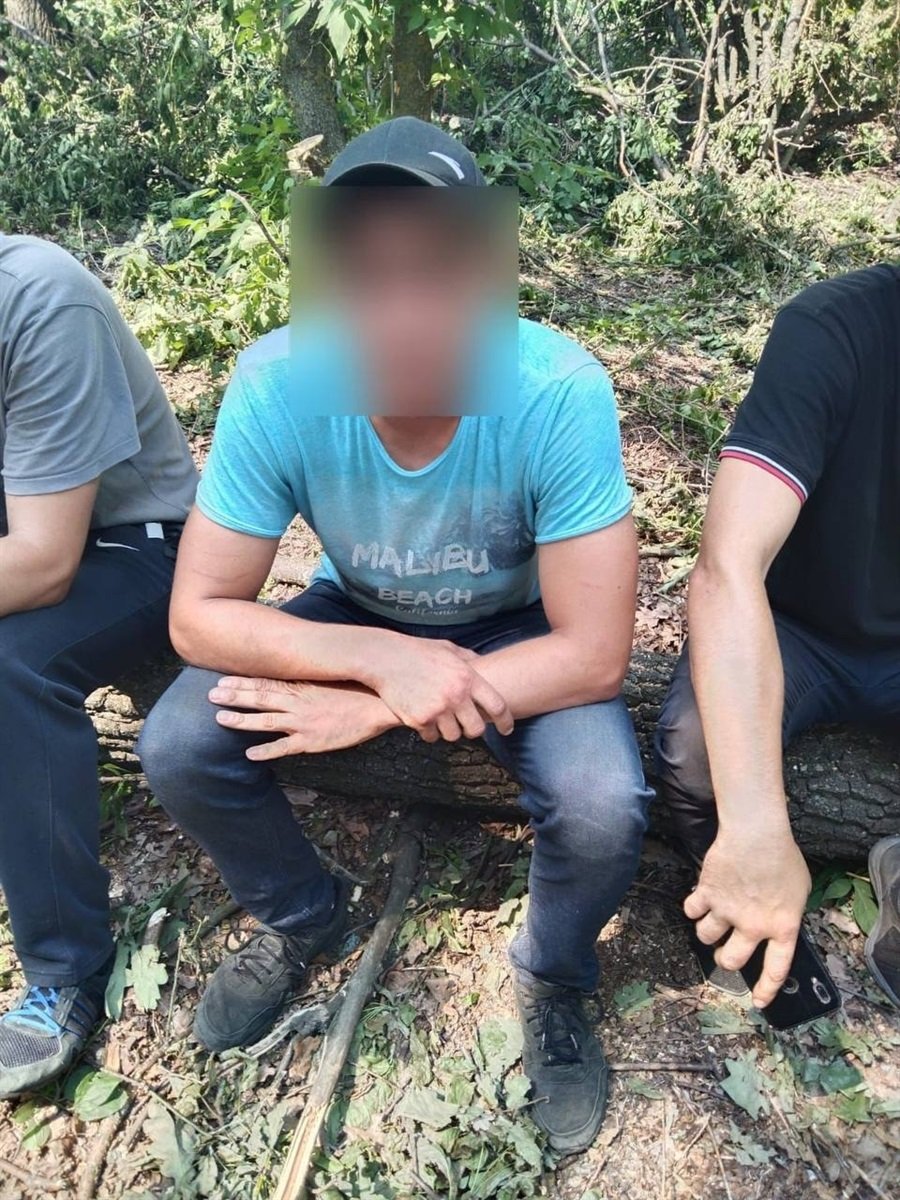 Троє чоловіків зрубали близько 50 дерев Троє чоловіків зрубали близько 50 дерев