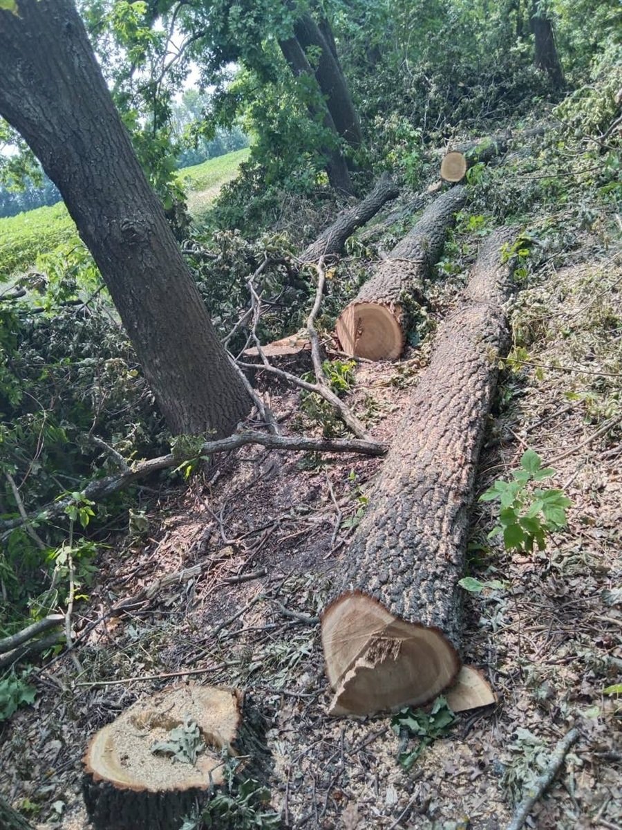 По факту злочину відкрито кримінальне провадження По факту злочину відкрито кримінальне провадження