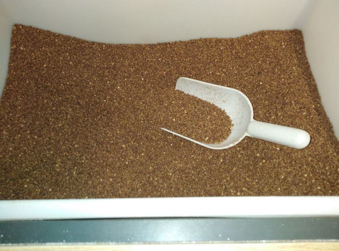 Гречка скоро подешевшає. Коли та на скільки? 2