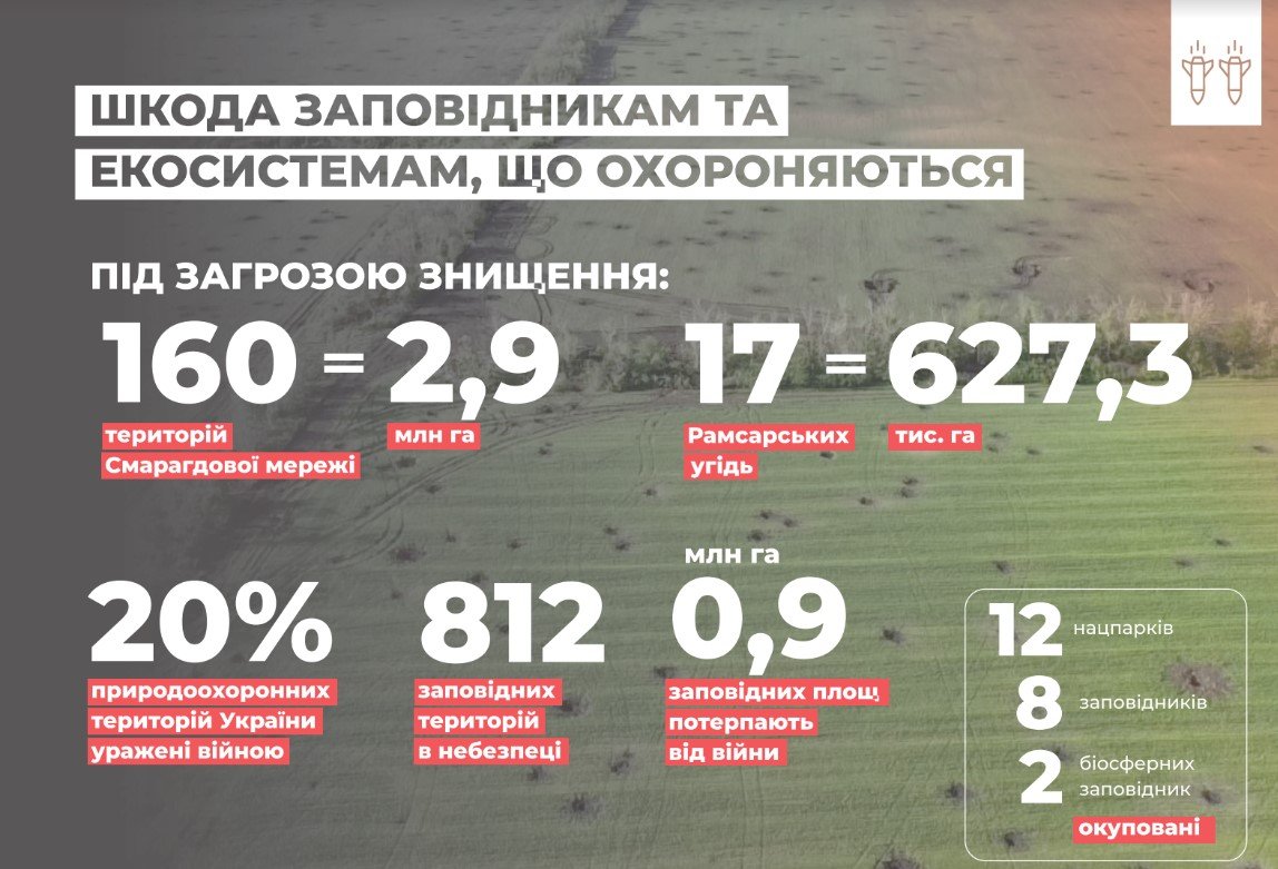 Источник: Министерство окружающей среды