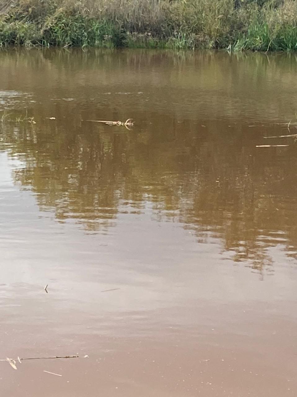 Красная окраска реки Ингулец