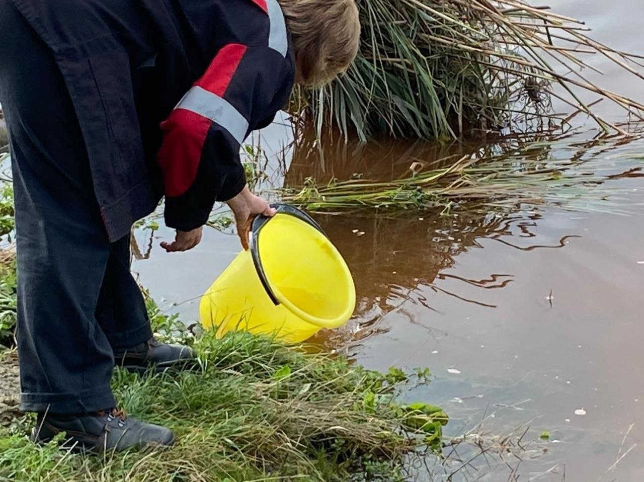 Местные жители набирают воду