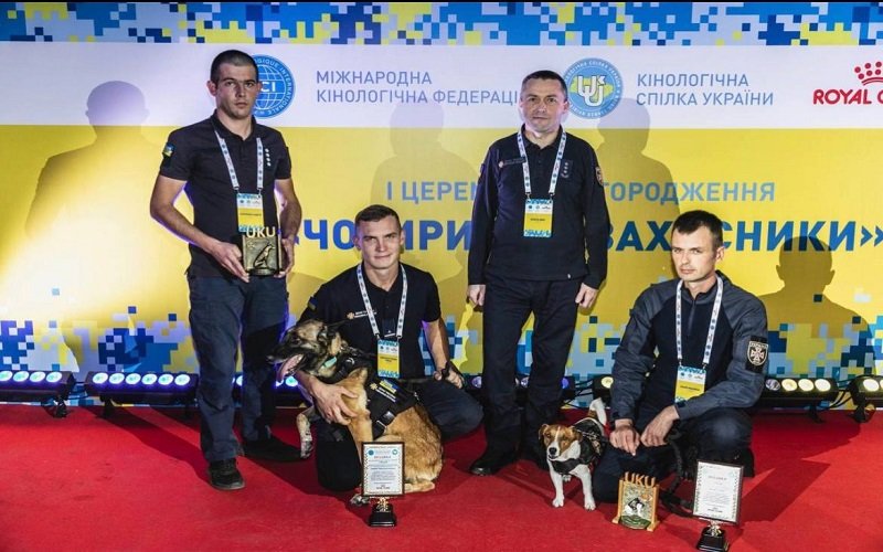 «Чотирилапі захисники»: легендарний пес-розмінувальник Патрон отримав нову нагороду 1