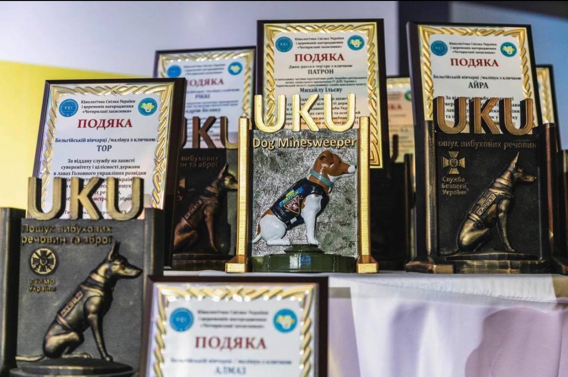 «Чотирилапі захисники»: легендарний пес-розмінувальник Патрон отримав нову нагороду 2