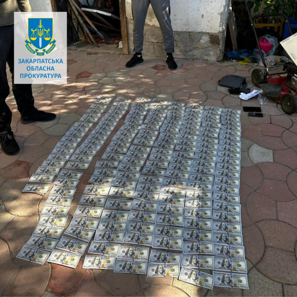 Цена вопроса — 18 тысяч долларов: на Закарпатье местные помогали уклонистам бежать из Украины 1