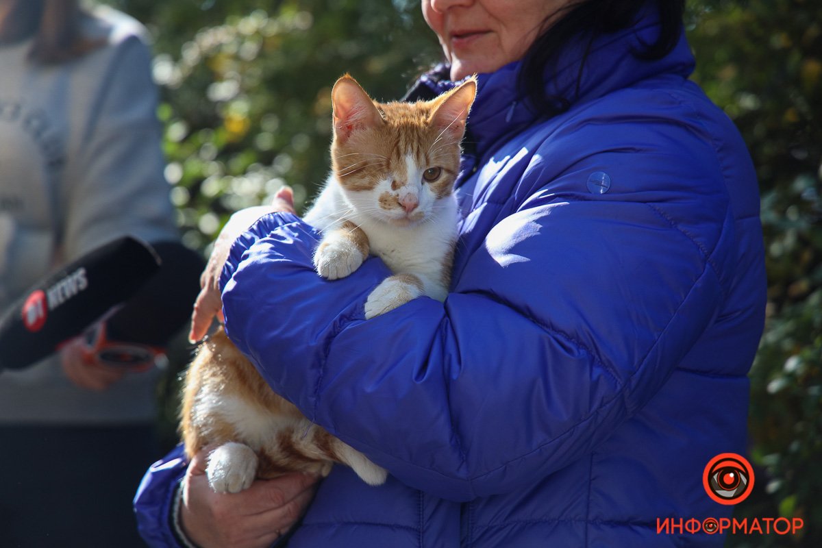 Спасённый домашний любимец