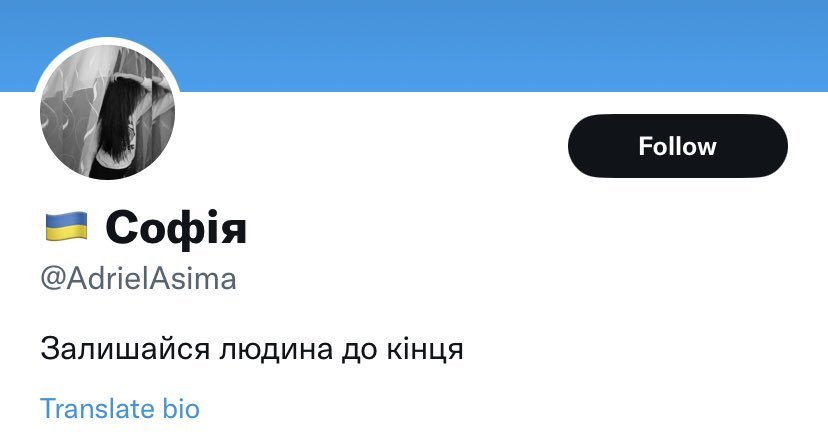 Скріншот сторінки російського бота