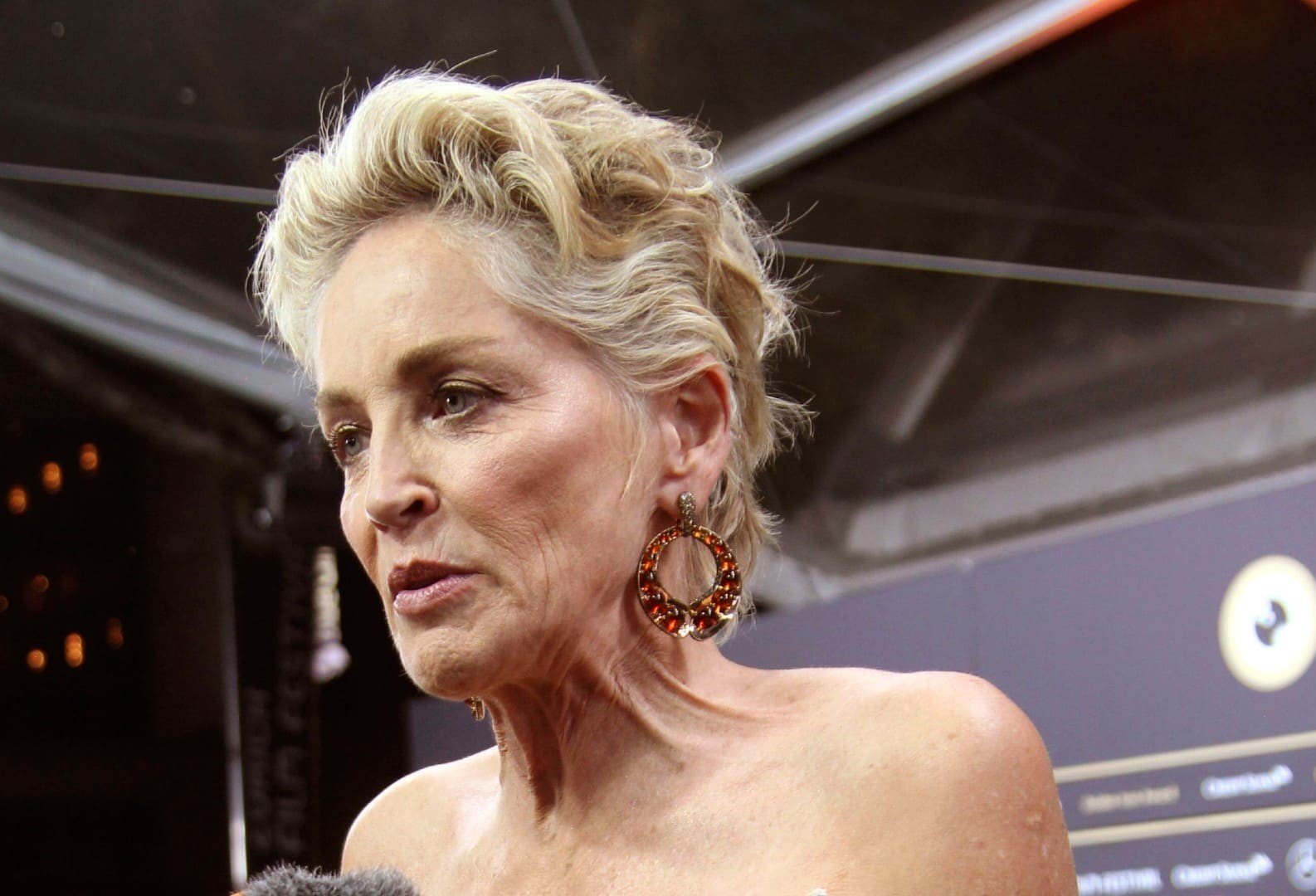 Шерон Стоун закликає жінок регулярно проходити медичні огляди Шерон Стоун закликає жінок регулярно проходити медичні огляди