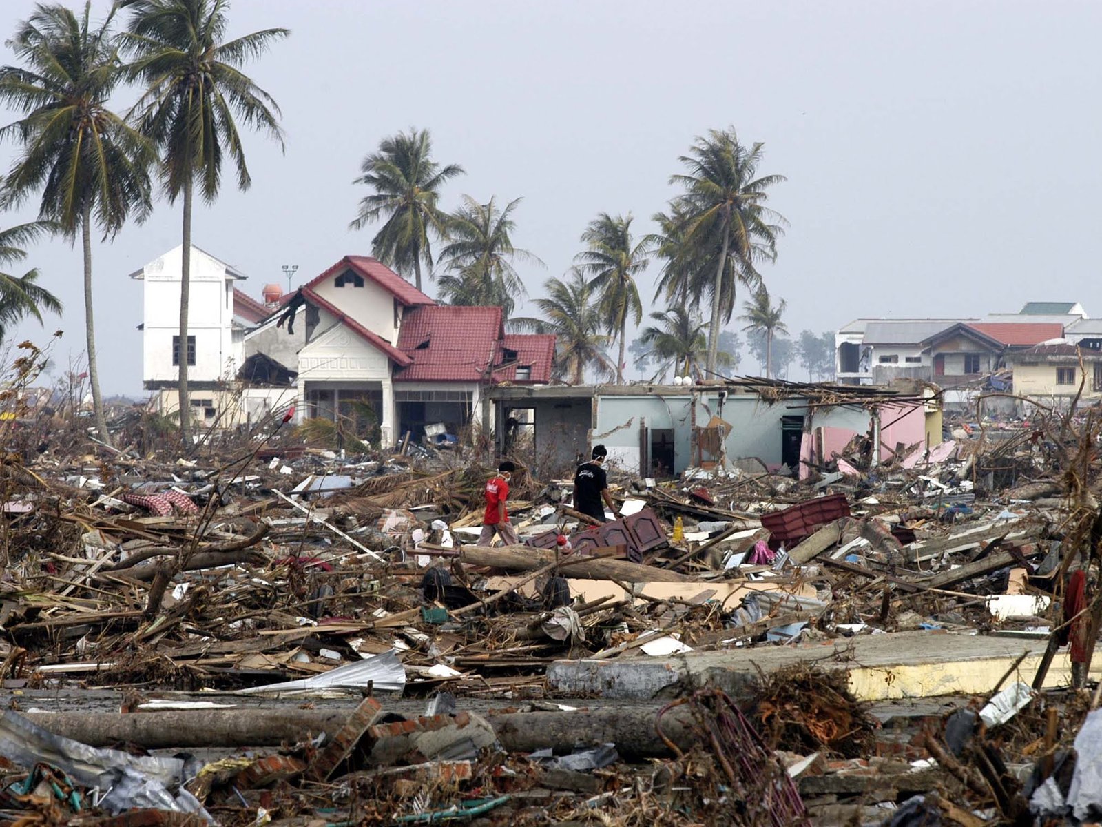 Цунамі Всесвітній день поширення інформації про проблему цунамі