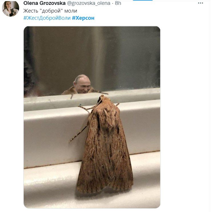 Кремлівська міль