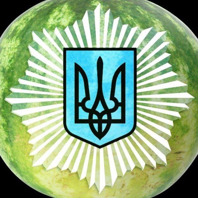 МВС