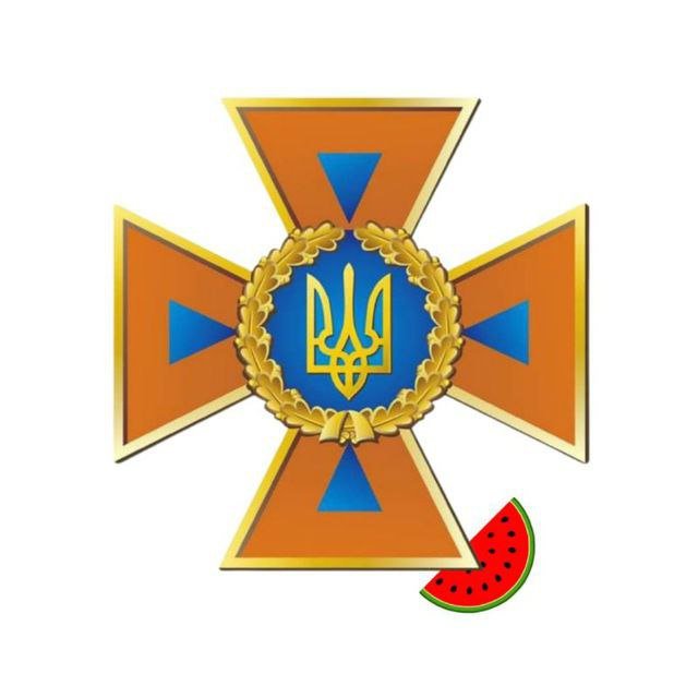 ДСНС