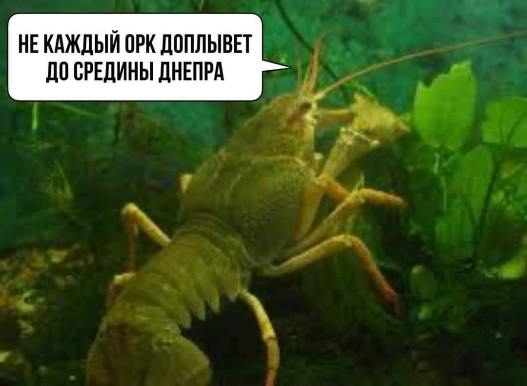 Как россияне из Херсона убегали: мемы и шутки из соцсетей 7