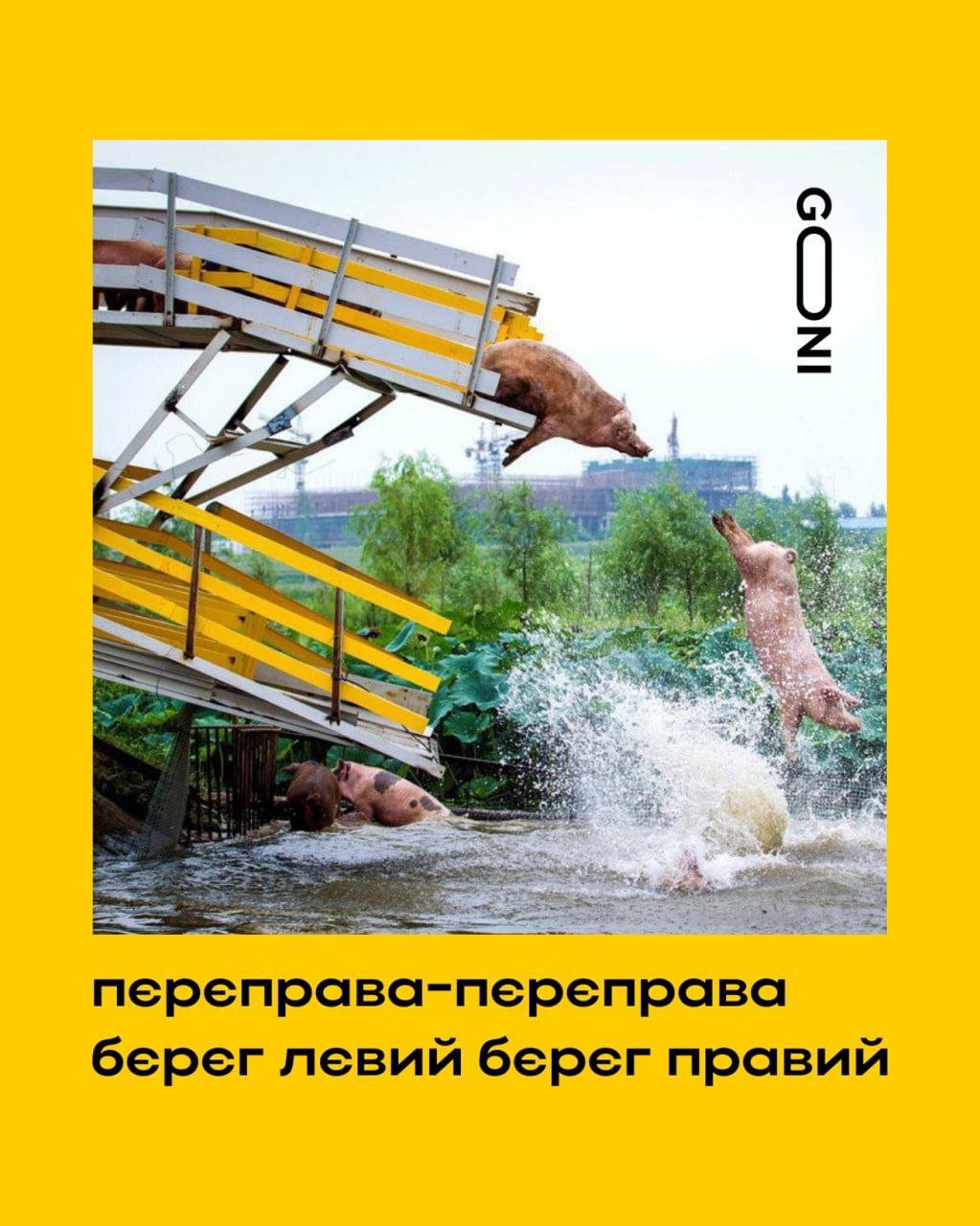 Как россияне из Херсона убегали: мемы и шутки из соцсетей 3
