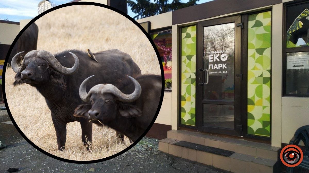 В зоопарку зруйновані 70-80% будівель