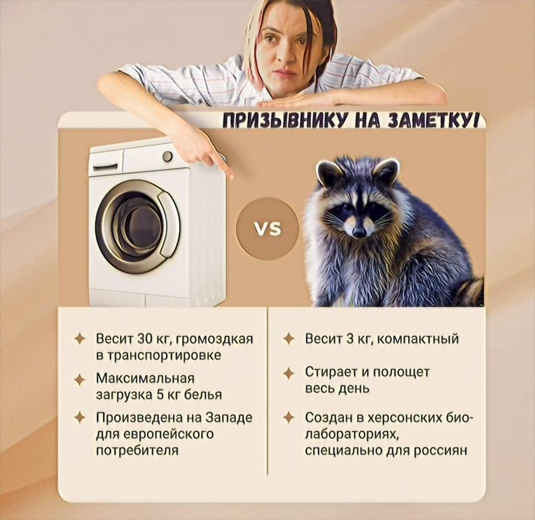 Новини про - Стало відомо, що сталося з єнотом з Херсону, якого викрали окупанти
