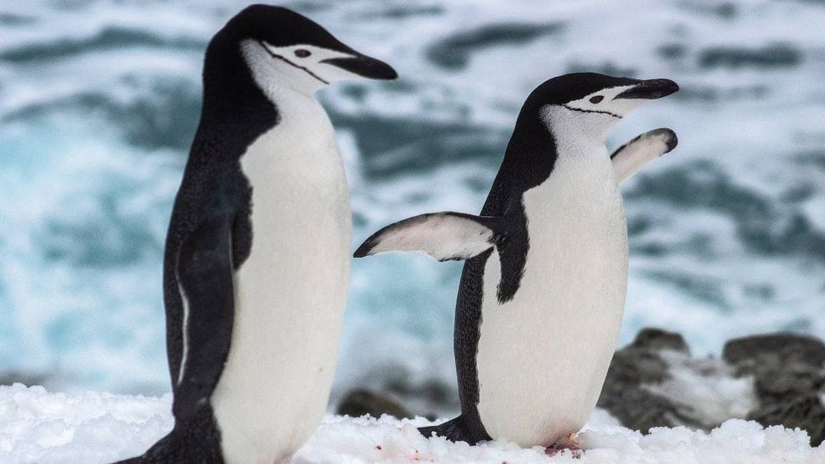 Фото: Сергей Глотов