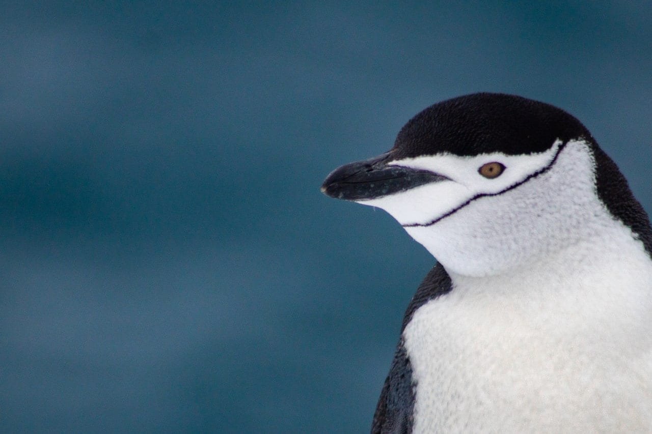Фото: Сергей Глотов