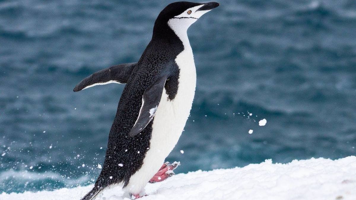 Фото: Сергей Глотов