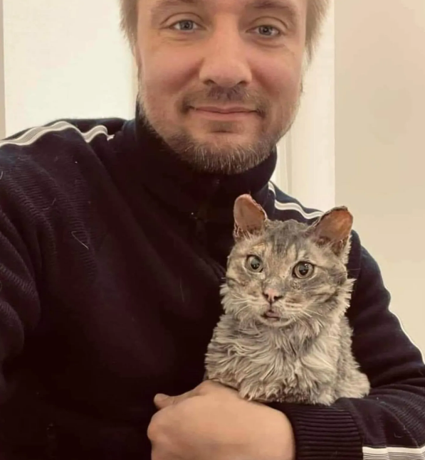 Фенікс у волонтера