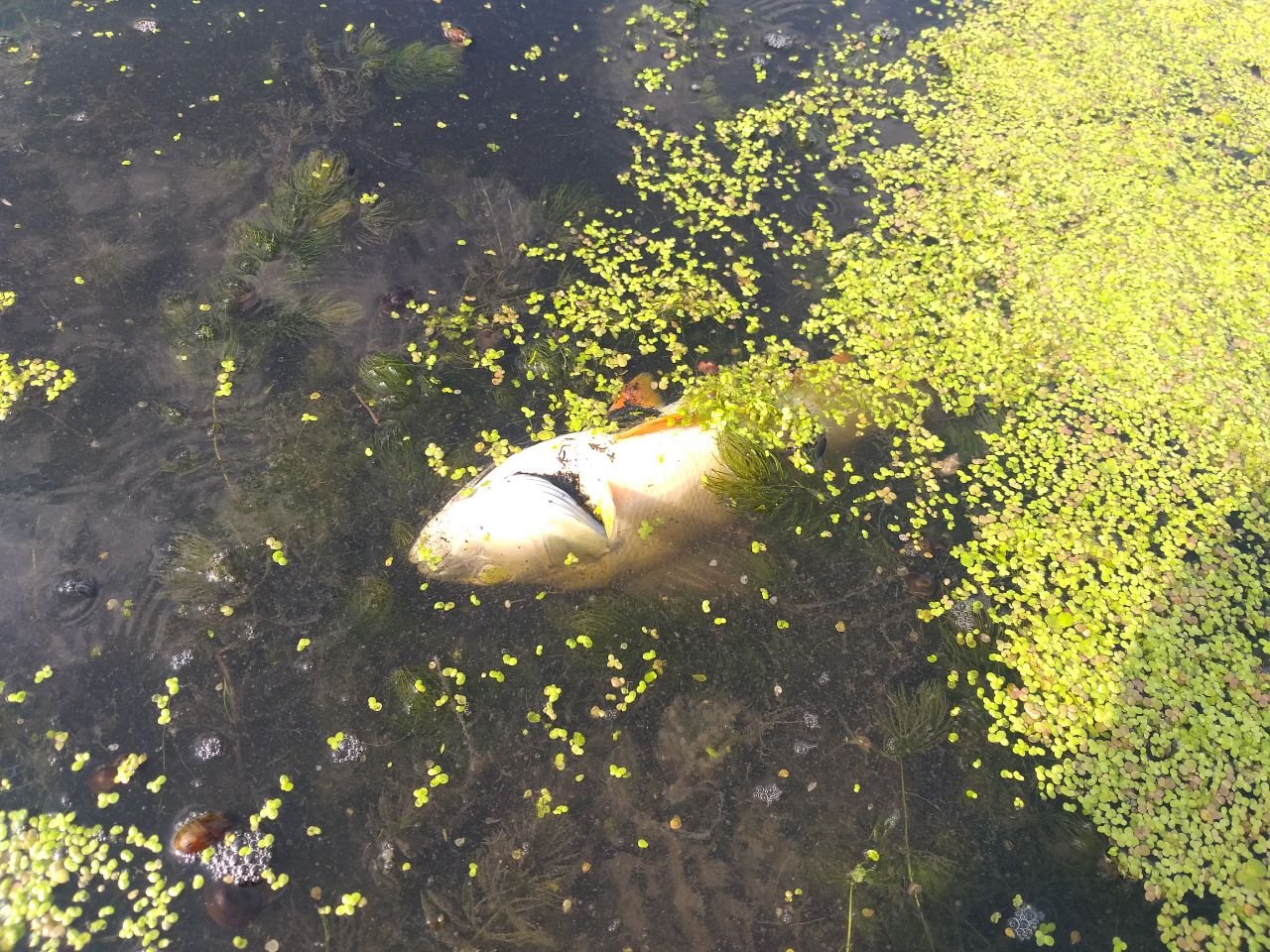 Джерело: Офіс Генерального прокурора України