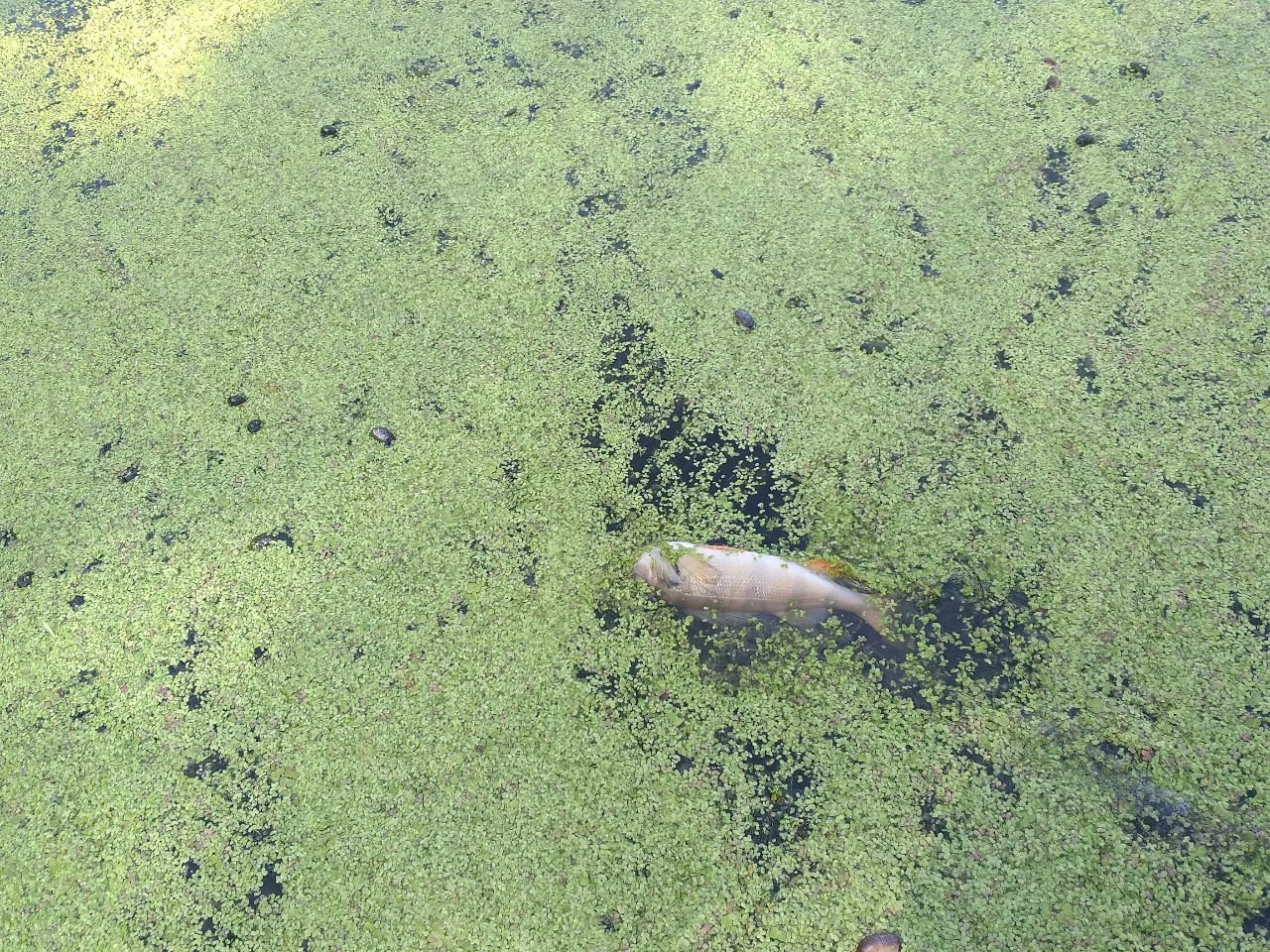 Джерело: Офіс Генерального прокурора України