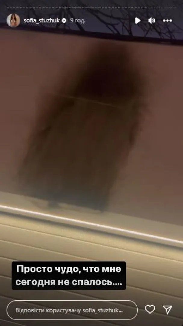 Скріншот: instagram.com/sofia_stuzhuk