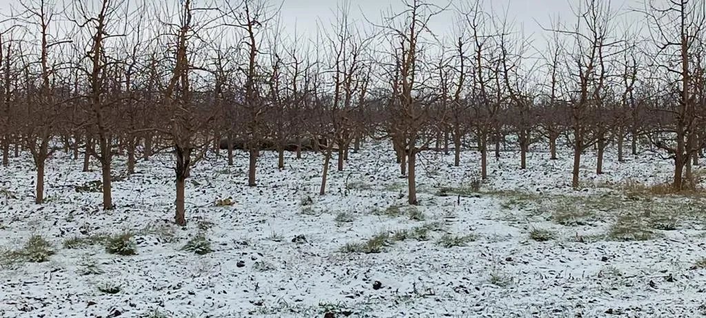 Залишки ракети, що впала в Молдові