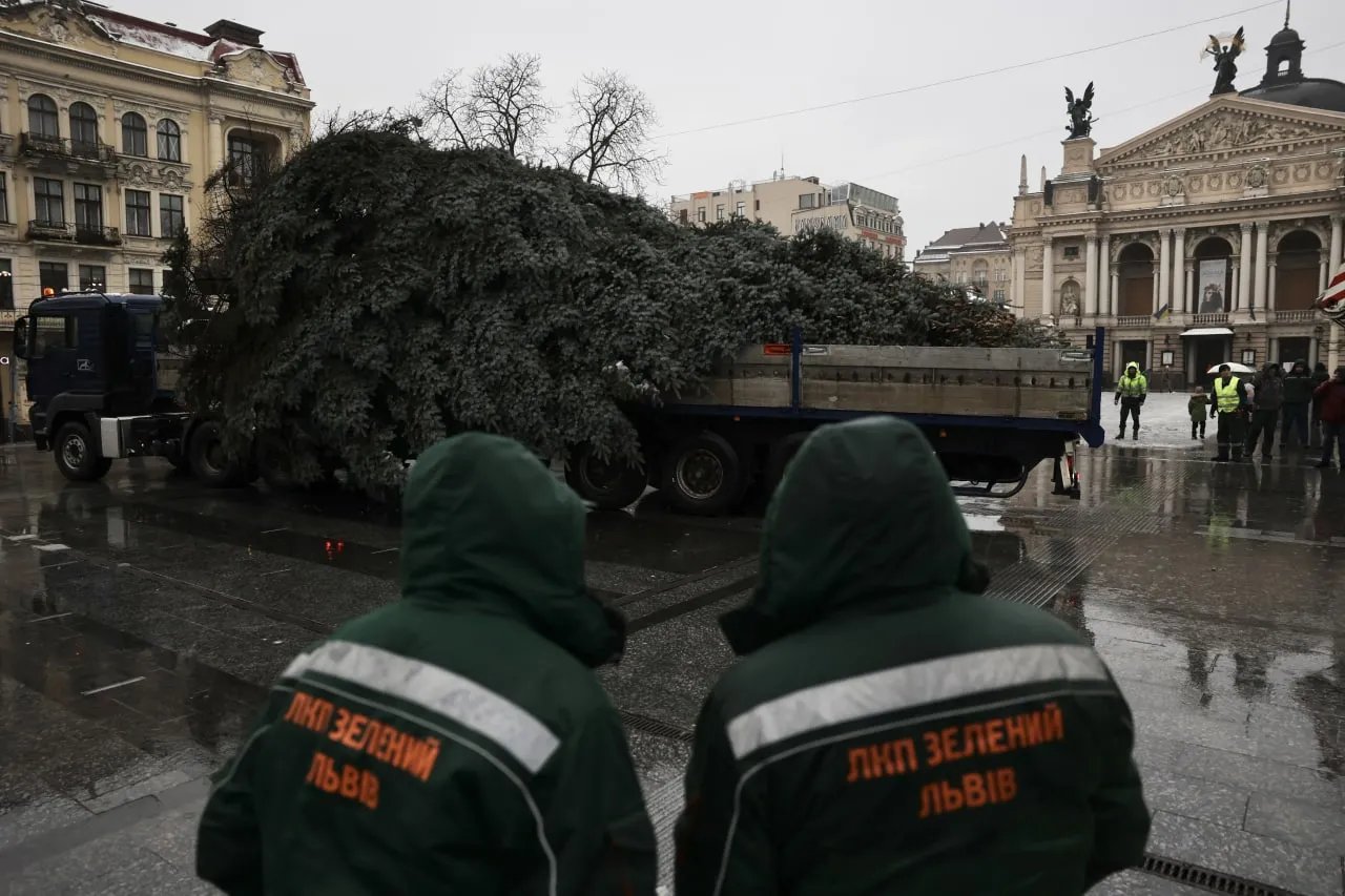 Дерево уже устанавливают