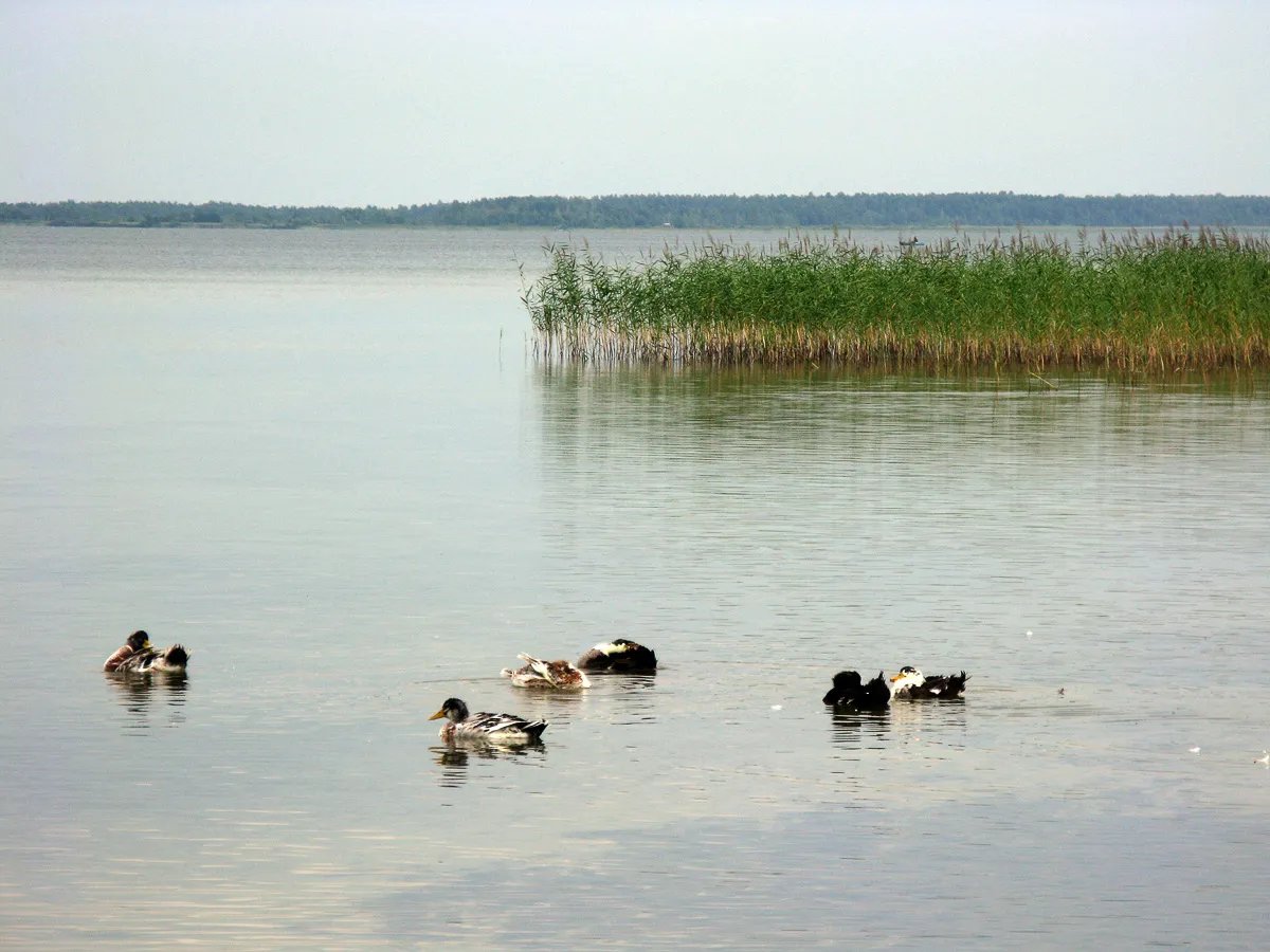 Шацький національний природний парк
