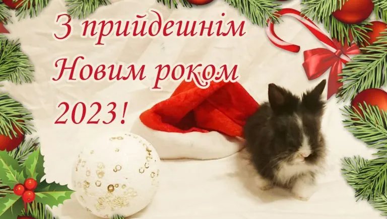 Поздравления с Новым годом 2023: в стихах, прозе и открытках 3
