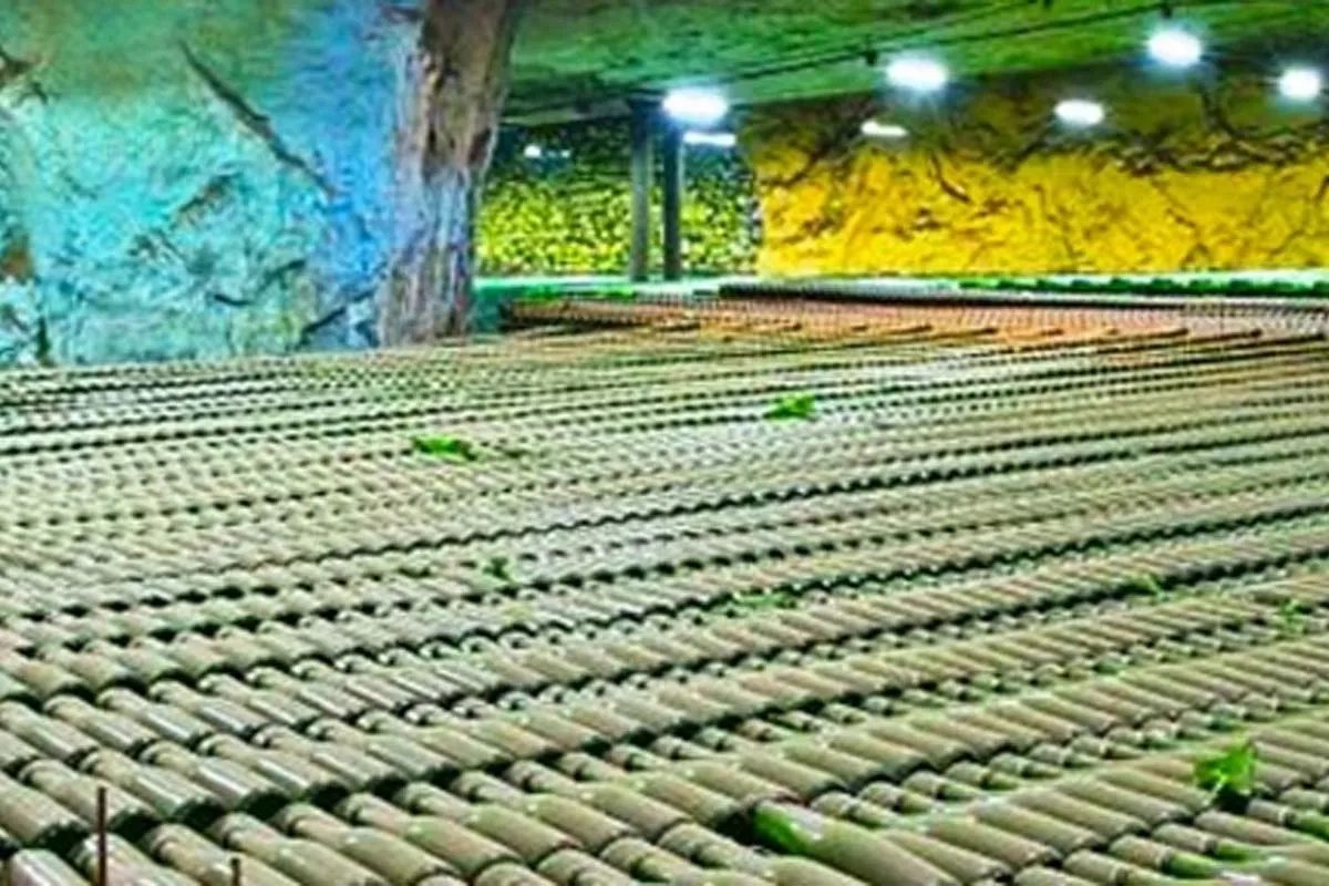 Artwinery релокували виробництво, але прагнуть повернутися додому в Бахмут Artwinery релокували виробництво, але прагнуть повернутися додому в Бахмут