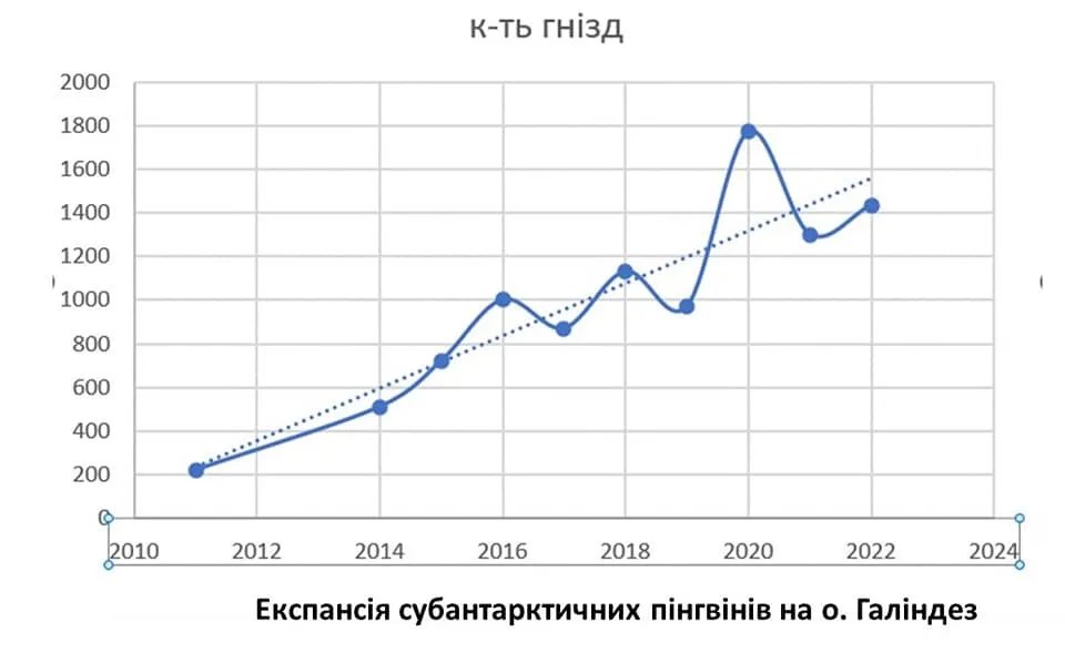 Інфографіка збільшення популяції пінгвінів