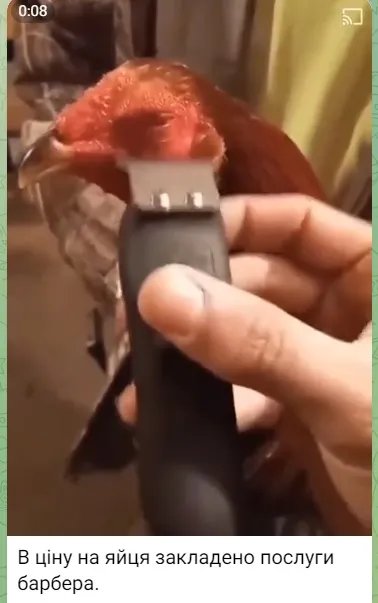 Жарти у мережі Жарти у мережі