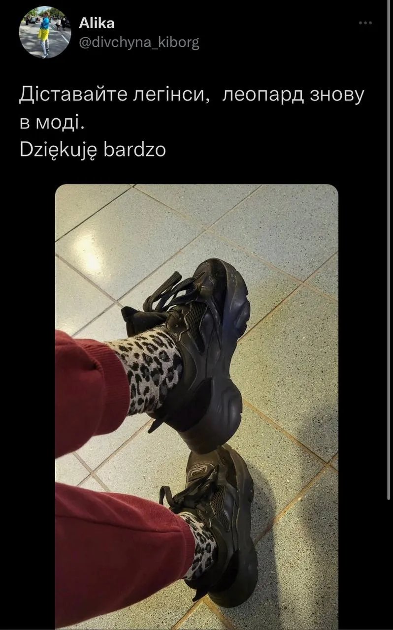 Леопардова іронія: мережу заполонили меми щодо вагання Німеччини надати Україні танки Leopards 2