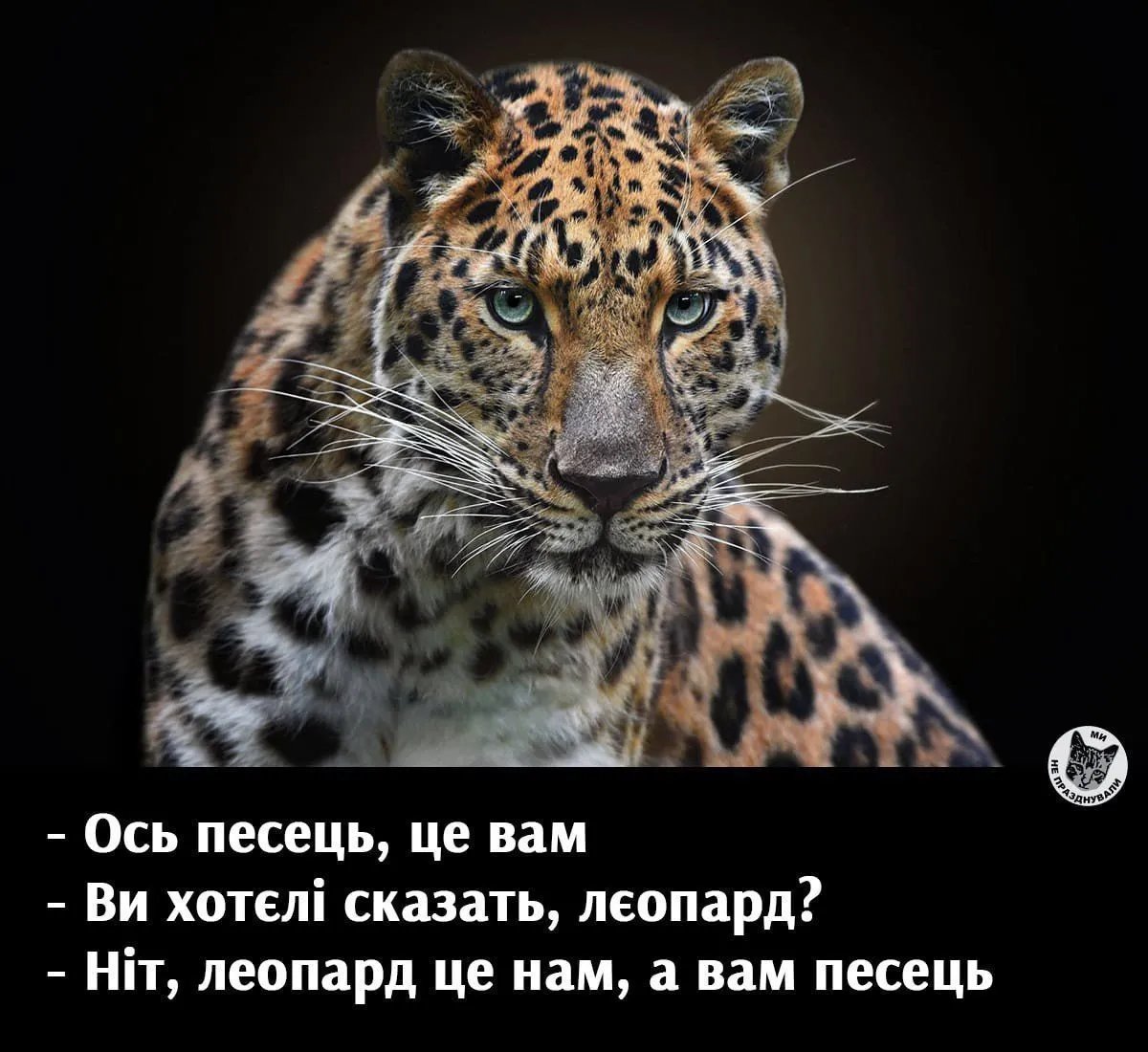 Леопардова іронія: мережу заполонили меми щодо вагання Німеччини надати Україні танки Leopards 10