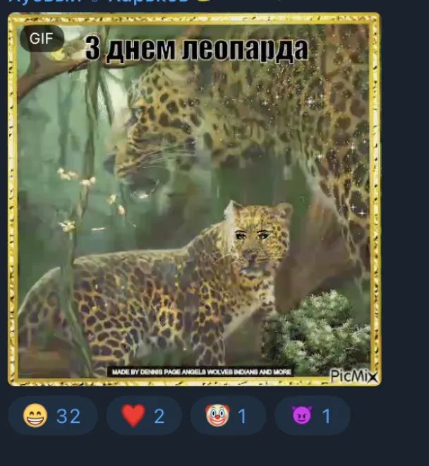 Зображення з соціальних мереж