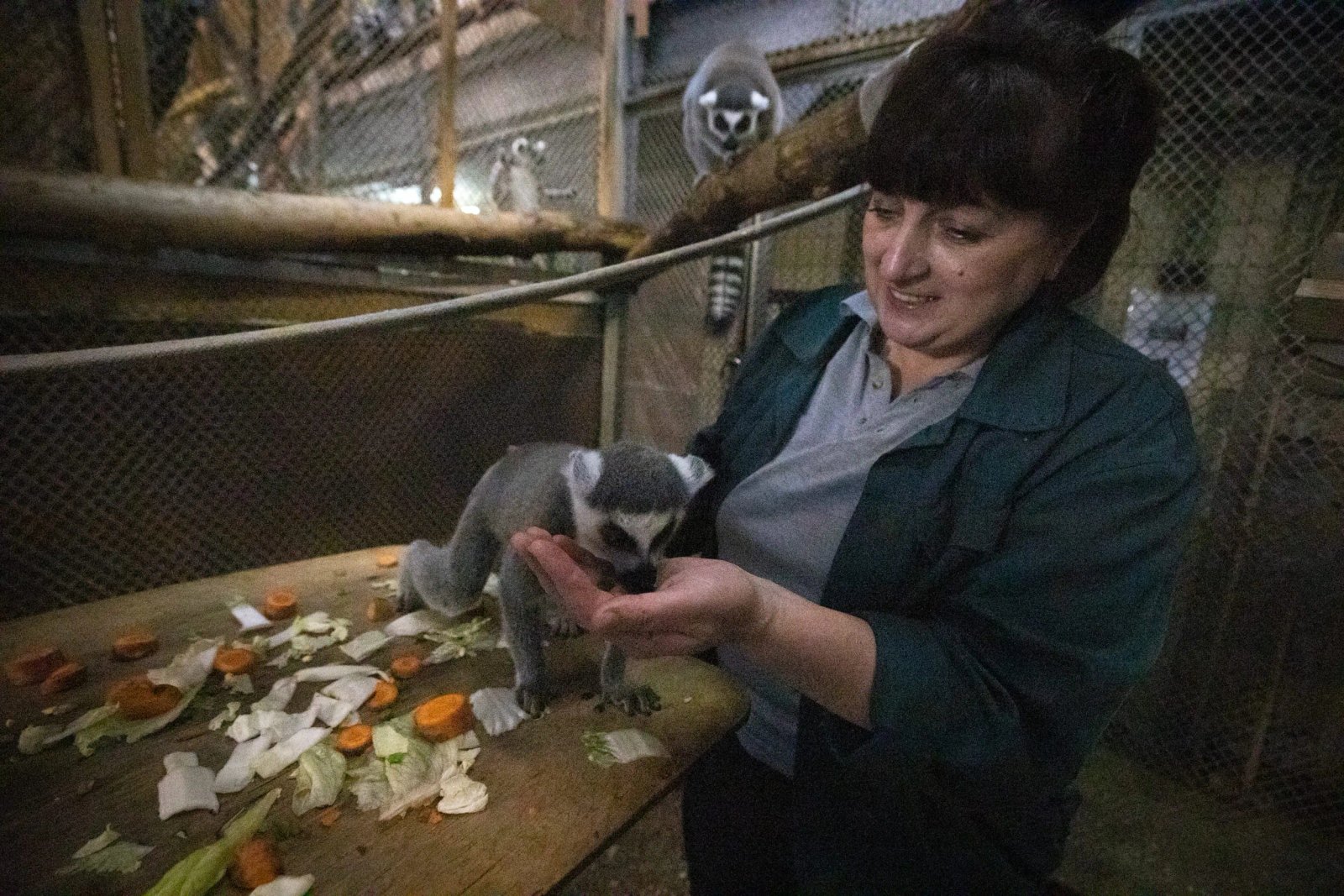 Малюки київського зоопарка Малюки київського зоопарка