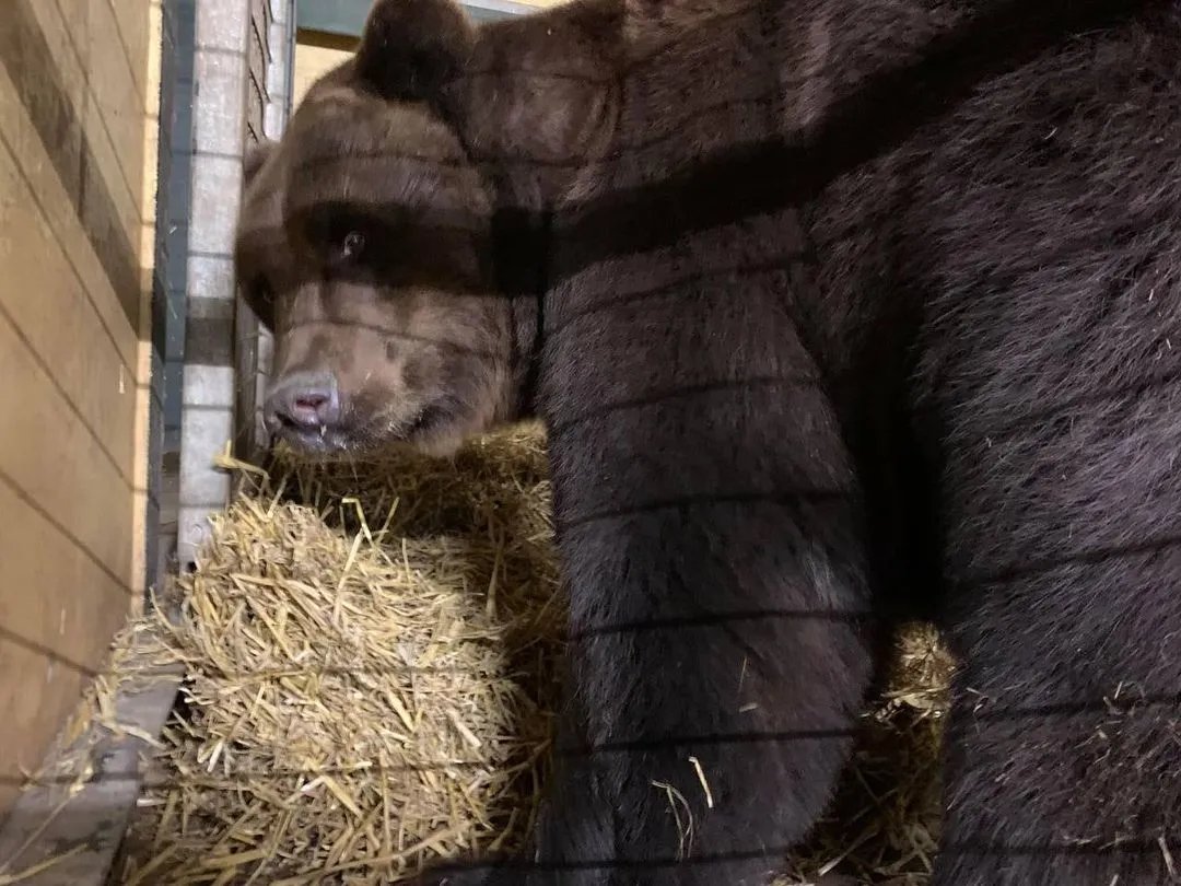 Скільки «Укрзалізниця» витрачала на рибок, які не були власністю компанії 3