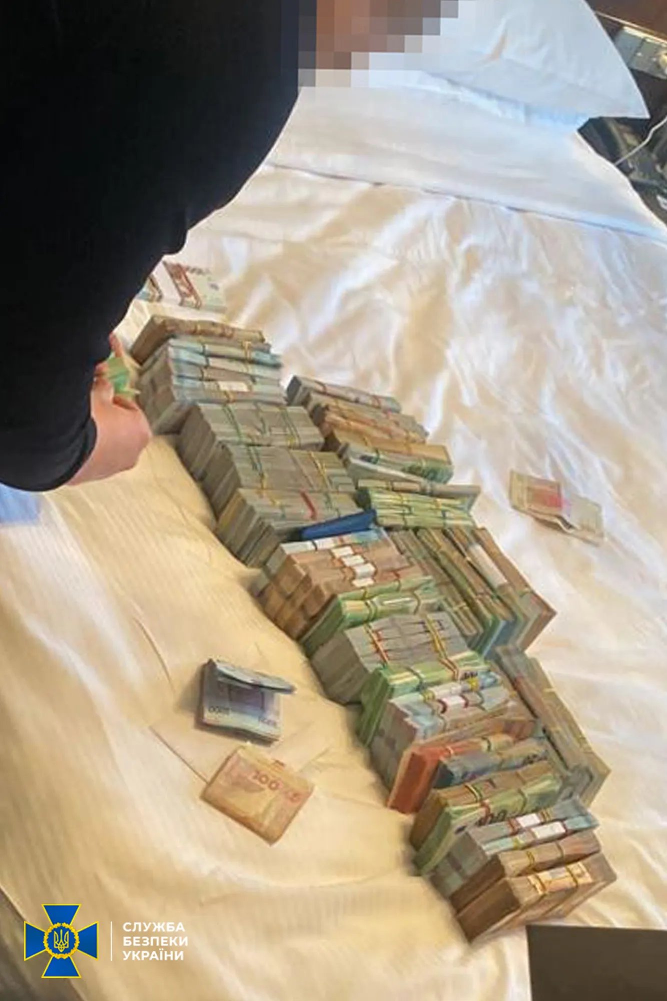 Готівка, яку знайшли під час обшуків